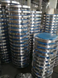 Stainless Steel 254 SMO Flanges 